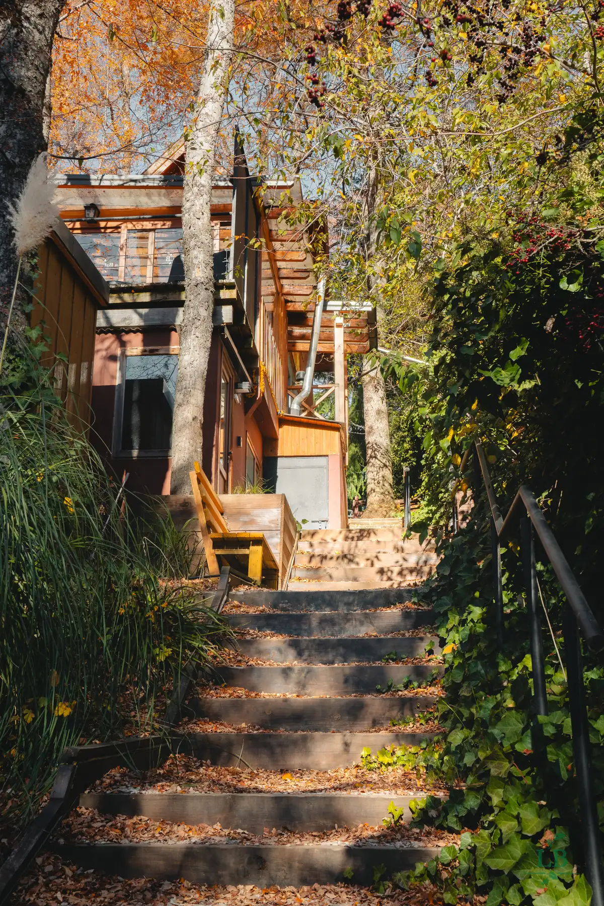 Escaleras de acceso entre el bosque