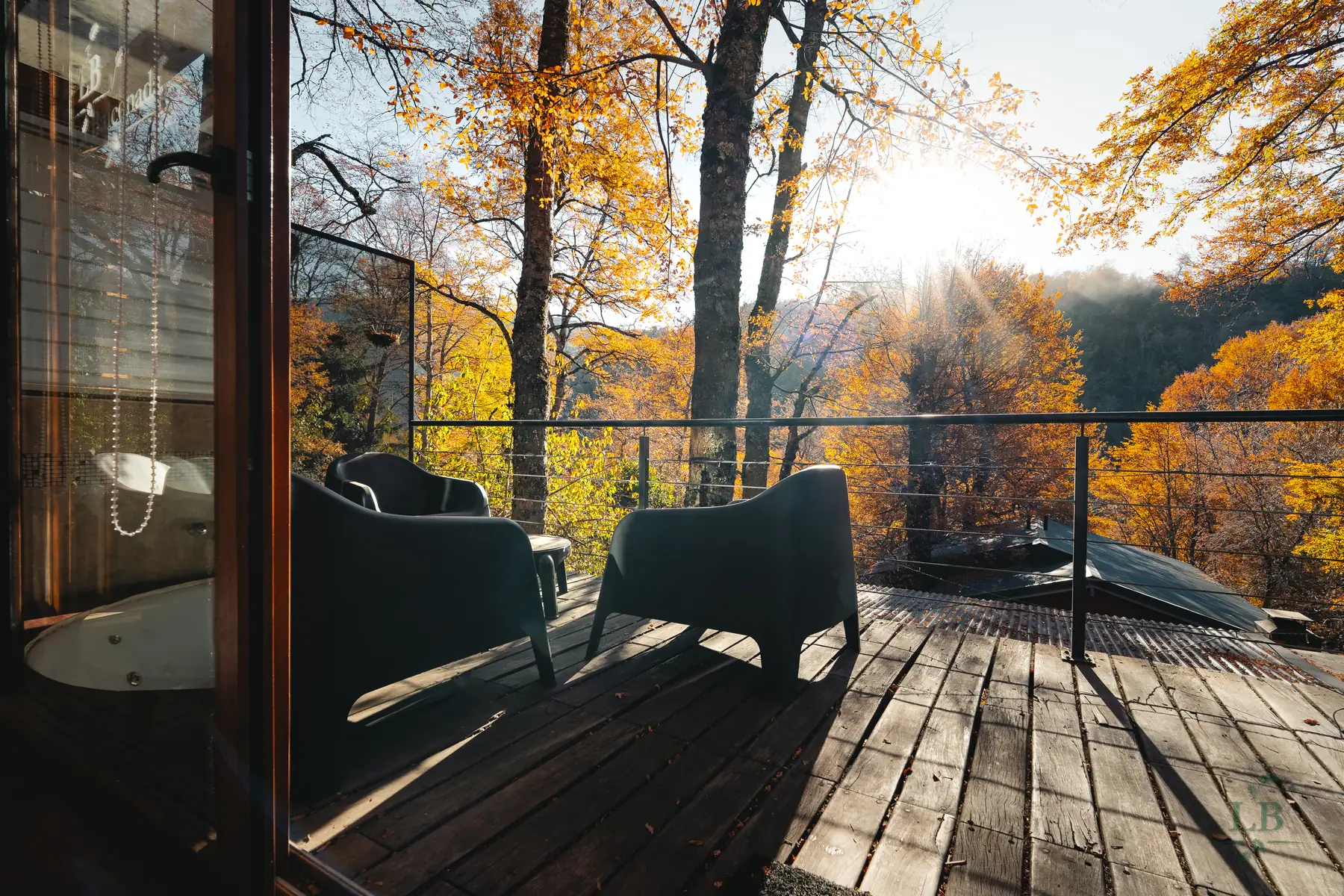 Deck al bosque al atardecer