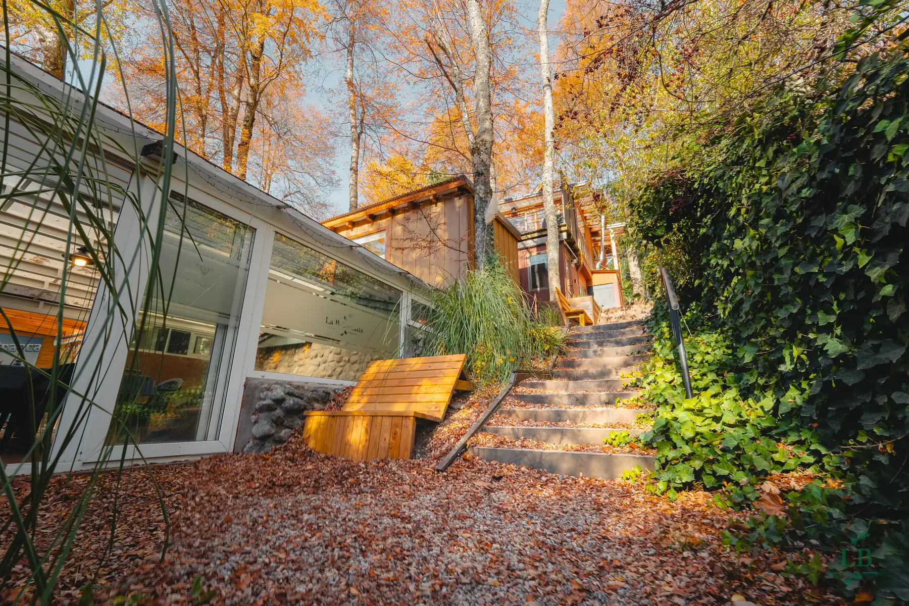 Camino y escaleras del predio en otoño