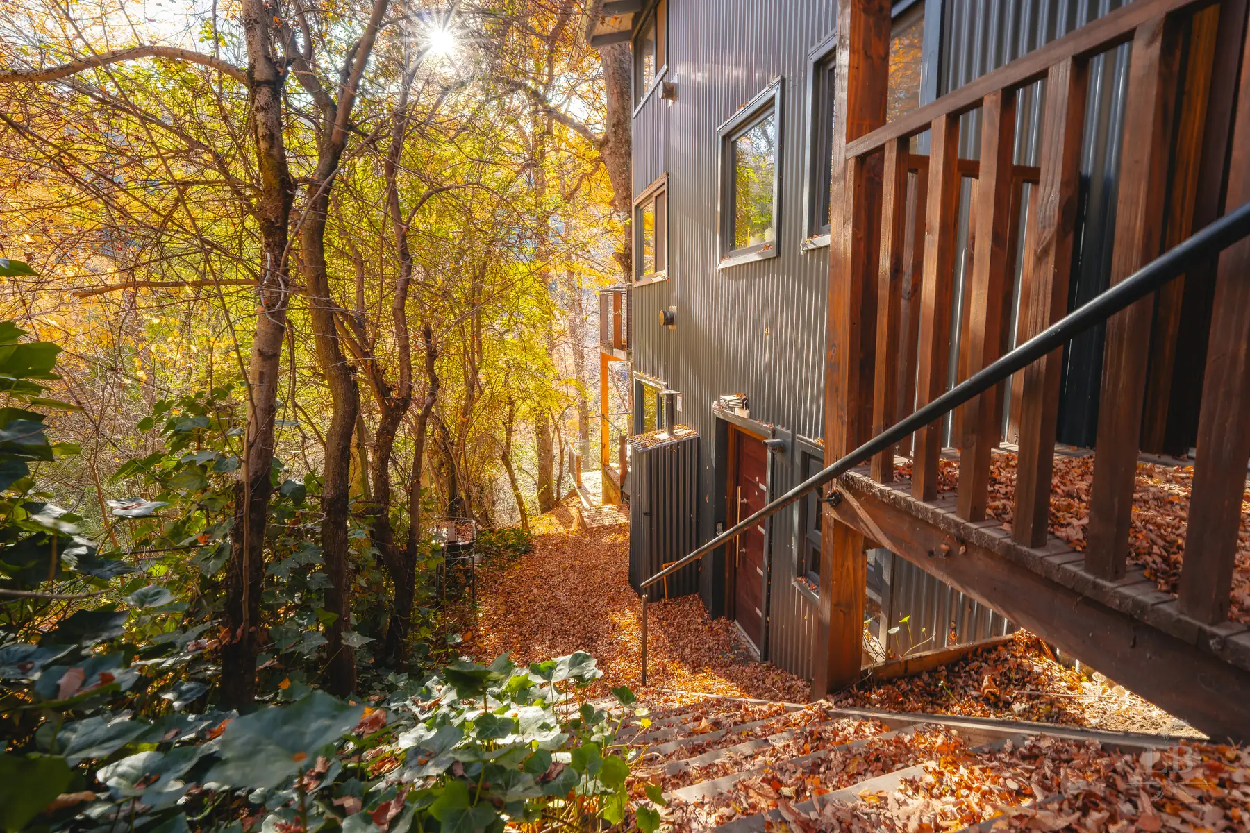 El departamento entre el bosque